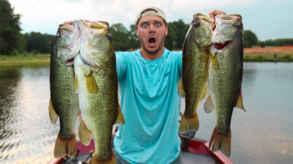 Ayo Fishing